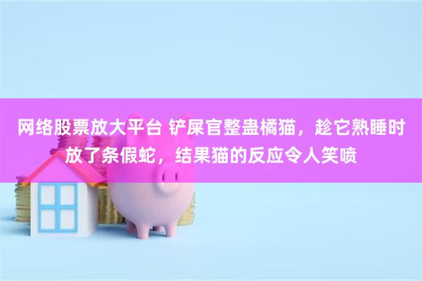 网络股票放大平台 铲屎官整蛊橘猫，趁它熟睡时放了条假蛇，结果猫的反应令人笑喷