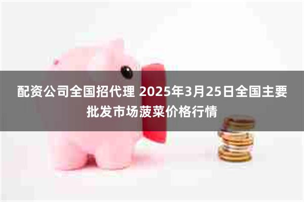 配资公司全国招代理 2025年3月25日全国主要批发市场菠菜价格行情