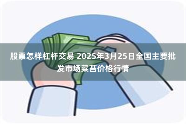 股票怎样杠杆交易 2025年3月25日全国主要批发市场菜苔价格行情