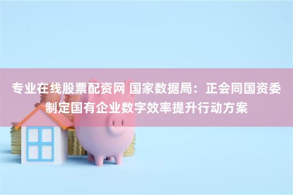 专业在线股票配资网 国家数据局：正会同国资委制定国有企业数字效率提升行动方案
